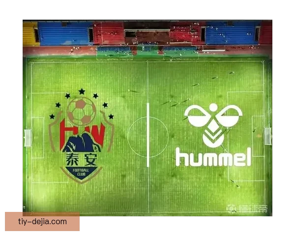 泰安天贶牵手HUMMEL装备